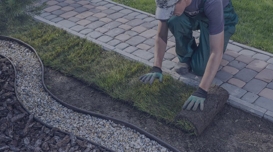 Landscaper rolling out grass on a lawn while kneeling on pathway.