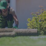 lawn care Florida