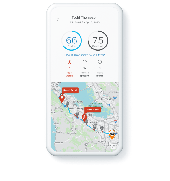 Driver vehicle safety dashboard