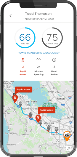 Trip Detail Dashboard